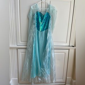 Adult Frozen Elsa Costume with Wig - Size Large